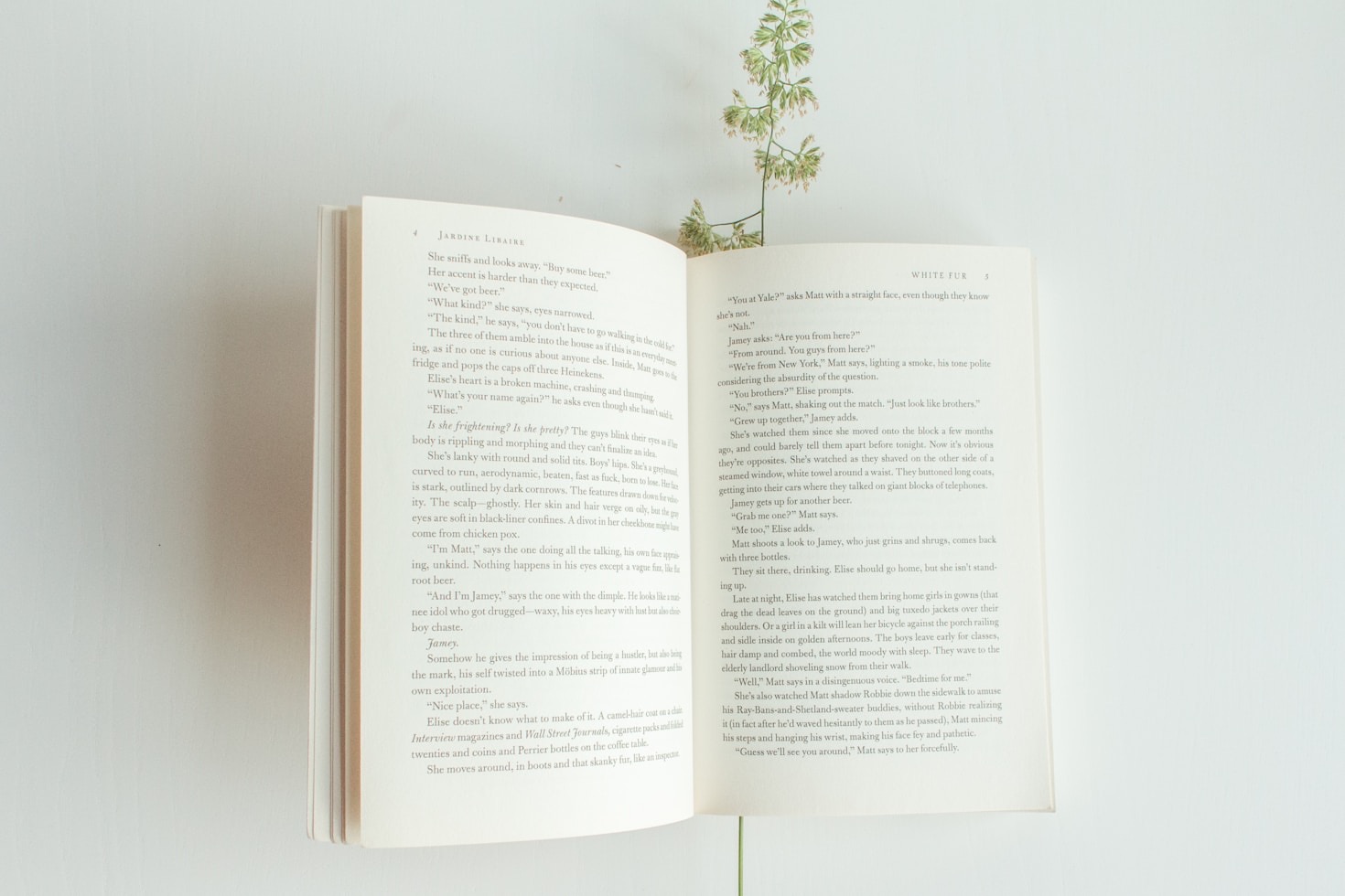 A Deep Dive Into Serialized Novels